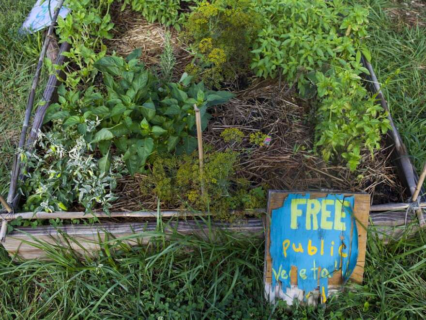 Some community gardens keep plots open to the public instead of assigning them to individuals.