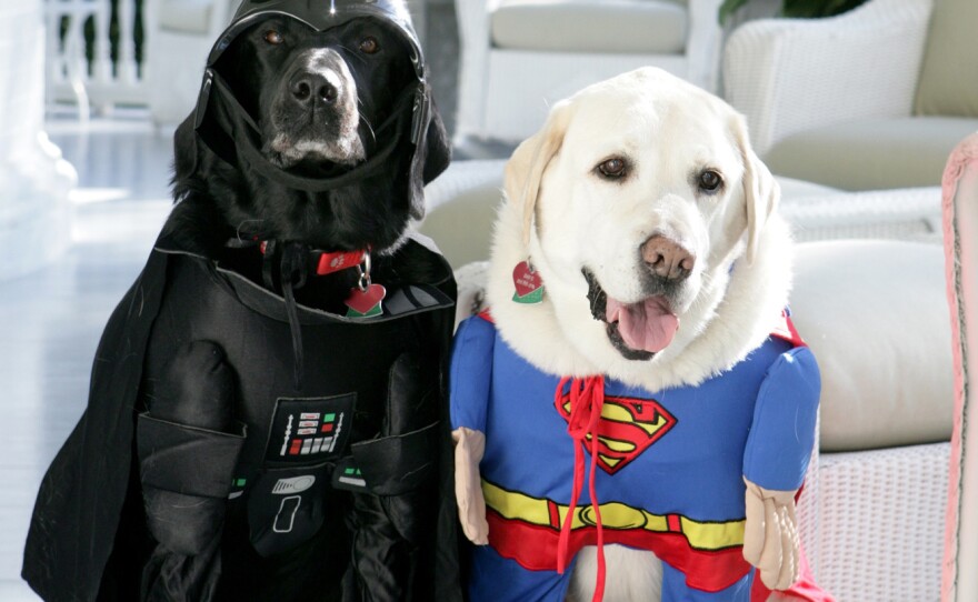 I mean, if Dick Cheney's dogs can do it, so can you. (Jackson, i.e., Darth Vader, and Dave, i.e., Superman, at the then-vice president's residence in 2007.)