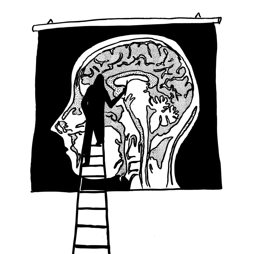 A drawing of a brain scan.