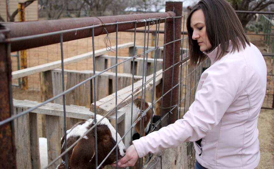 Heather Hess checks on her daughter's goats, Fearless and Frank, Wednesday, January 14, 2015 . 