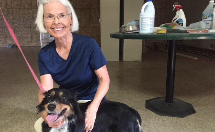 A woman kneeling to pose with a medium-sized, two year-old dog named Sally.