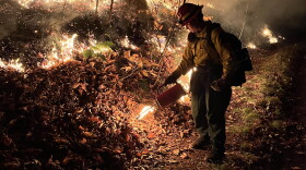A firefighter is lighting a controlled burn with a red canister. Fire is burning in controlled lines in the background of the photo. It's dark and smoky out. 