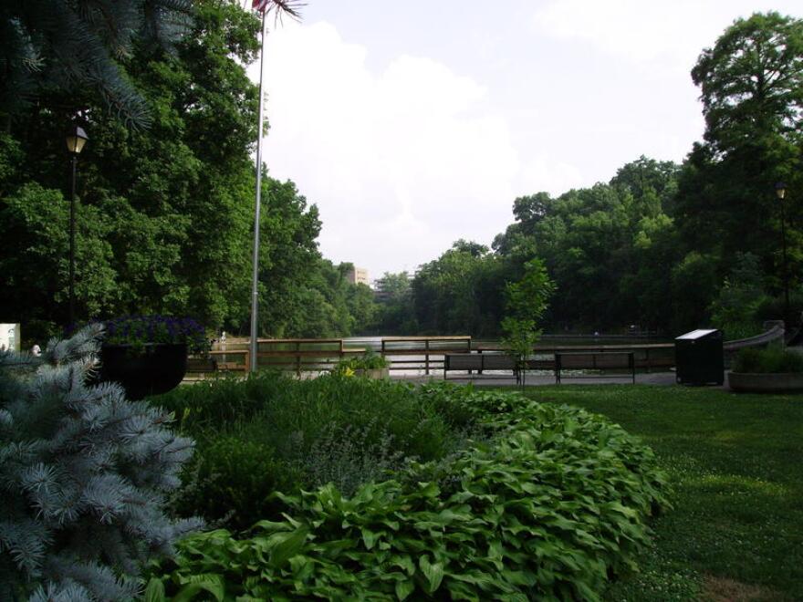 Burnet Woods adjacent to the University of Cincinnati and Clifton Avenue.