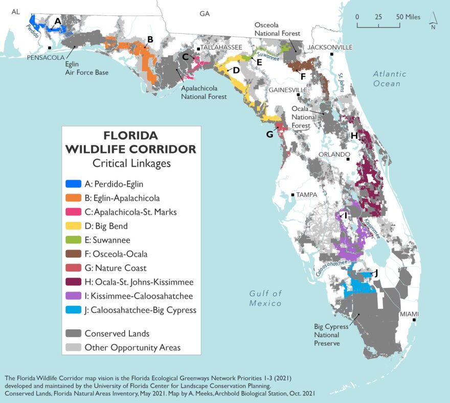  The vast expanse of wild lands between Central and South Florida was given a second chance for conservation when, in the heart of it, the Destiny development was reincarnated as DeLuca Preserve. This map depicts the critical links between major conservation lands, all part of an effort to create wildlife corridors from the Everglades to the far west Panhandle. The map is a vision from the Florida Wildlife Corridor, Florida Ecological Greenways Network, UF Center for Landscape Conservation Planning and Florida Natural Areas Inventory. &#13;
