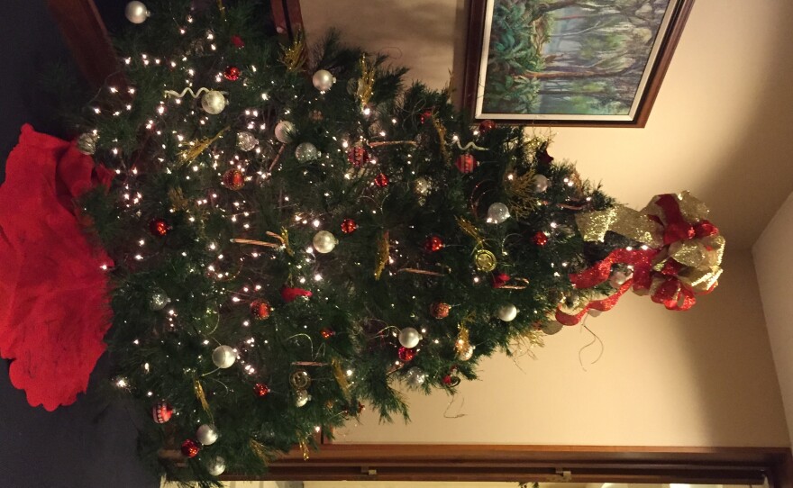 Agriculture Commissioner Putnam's Tree