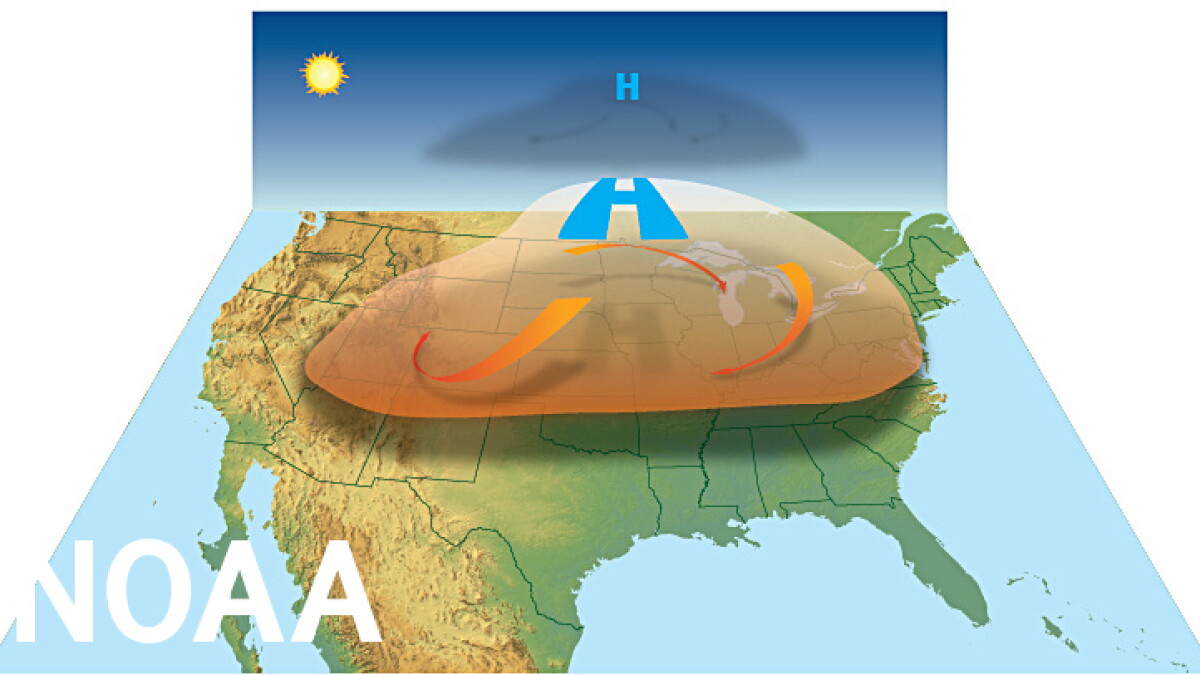 Climate change and extreme heat; Unguarded, an investigation - Vimarsana News