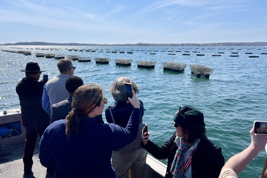 Oyster cages float in rows in Nasketucket Bay, off Fairhaven. In the first row, the cages are inverted to dry and remove unwanted organisms such as barnacles or algae. In the other rows, the oyster cages are under water, beneath floatation logs.