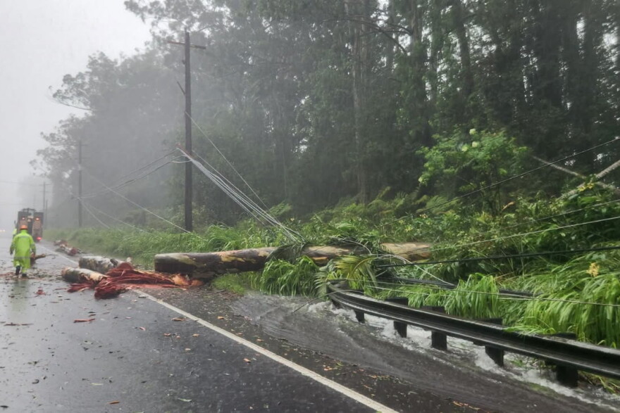 This photo released by the Hawaii Department of Transportation shows damage along a roadway on the eastern edge of Hawaii's Big Island from Hurricane Lala, Saturday, Aug. 15, 2026. (Hawaii Department of Transportation via AP)