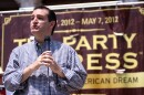 ted_cruz_2012.jpg