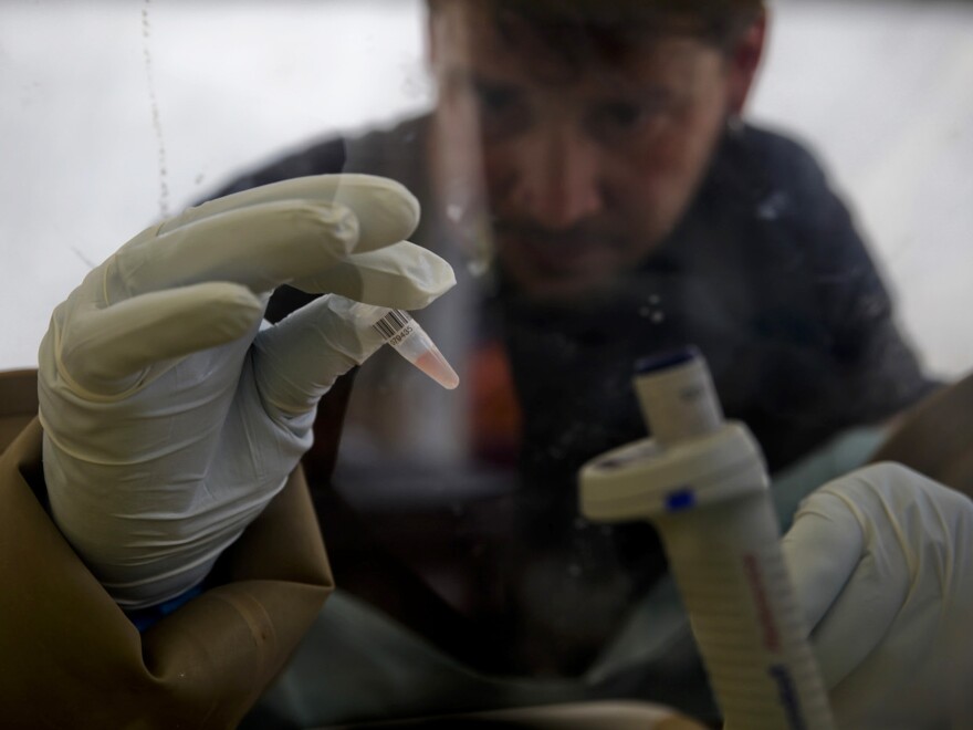 A scientist tests a patient's blood for Ebola at the European Mobile Laboratory in Gueckedou, Guinea. The first cases reported in the outbreak occurred in a small village about eight miles outside Gueckedou.