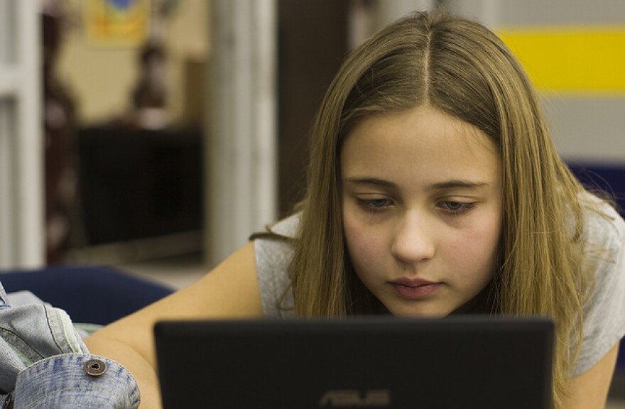 Computerkid-PeteProdoehlFlickr.jpg