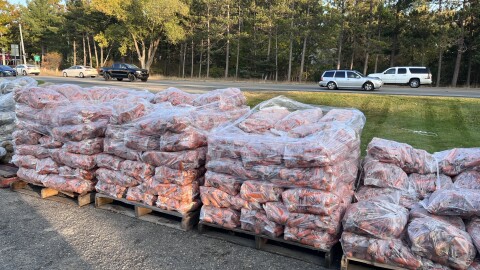 Bags of carrots for sale in the northern Lower Peninsula in fall 2024. (Photo: Izzy Ross/IPR News)
