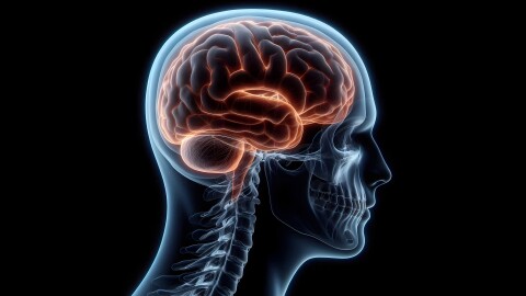 Charlotte summit to support community members and others in overcoming those challenges that arise from a brain injury.