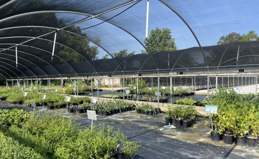 There are additional hoop houses at the field station. The Cincinnati Nature Center grows about 250 native plant species every year.