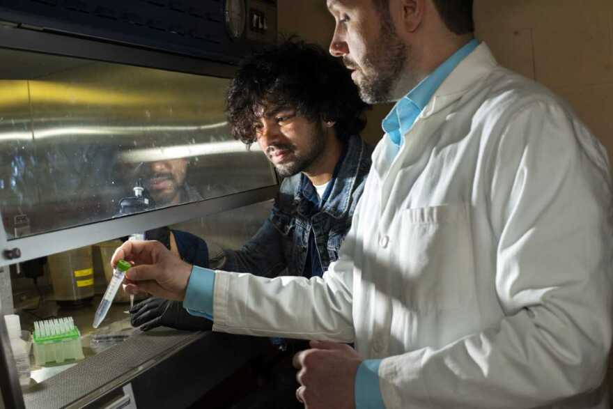 Professor Joe Horzempa works in the lab with student, Umesh Nepali, who takes a tissue culture as part of his study of host-pathogen interactions.