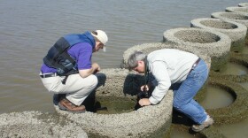 LSU professor Steven Hall, left, and The Nature Conservancy conservation program director Richard Martin check progress of an artificial oyster reef in Vermilion Bay.
