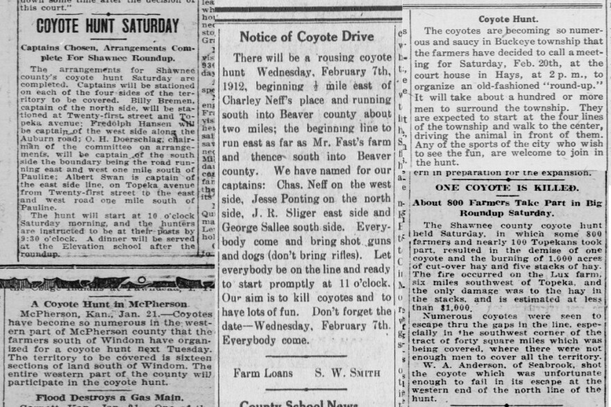 Newspaper stories promote a variety of community coyote hunts. Top left: Topeka State Journal, 1910. Bottom left: Topeka State Journal, 1907. Middle: Liberal (KS) Democrat, 1912. Top right: Hays Free Press, 1915. Bottom right: Topeka State Journal, 1921.