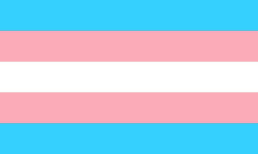 transgender flag