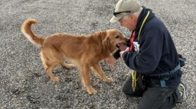 Man training a dog.