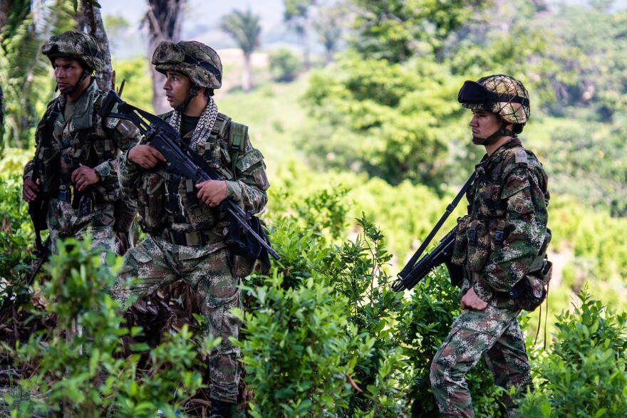 Men in army fatigues holding weapons walk in bushes.