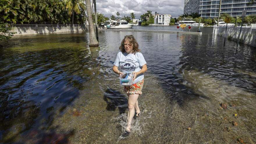 A woman wades through flood waters