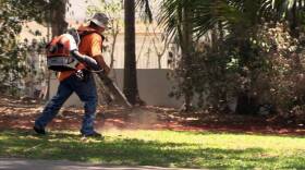 Roberto Poveda uses his leaf blower to clean up during a job in Coral Gables. These growling machines blow leaves, dust, pollutants and eardrums. They cause heated debates at city halls, where many residents want to ban them over the objections of their neighbors and lawn maintenance companies.