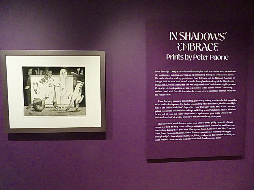 Philadelphia-based artist and teacher Peter Paone's new exhibit “In Shadows’ Embrace” is on display at the Brandywine Museum of Art.