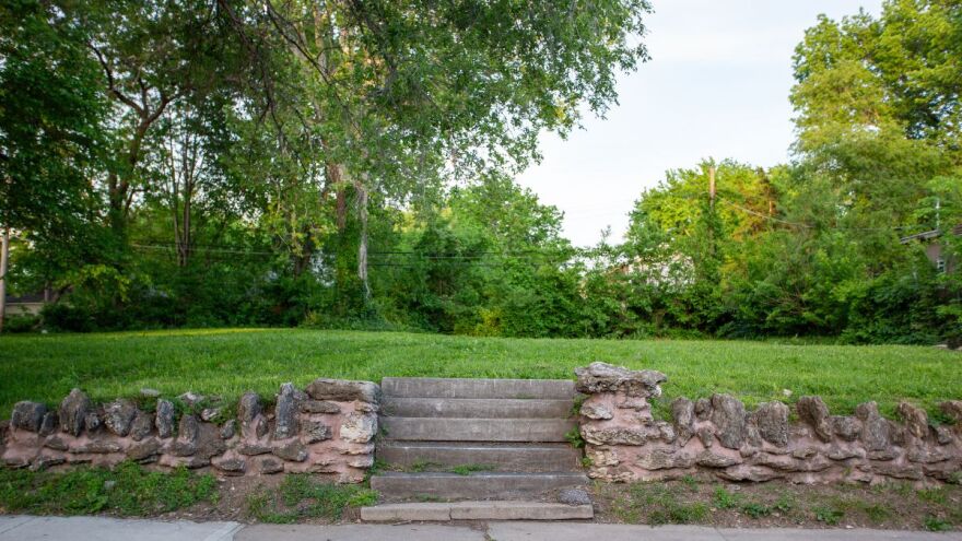 Under the proposed ordinances, the owner of this vacant lot would be required to register their name with the city with a written statement of their intent for the lot.