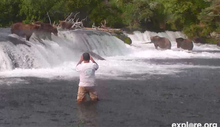 Man takes selfie with bears.JPG
