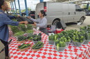 Food Justice Director of Tikkun Ha Ir Amanda McVann hands an empty carton to fill with vegetables to farmer Jenny Yang at the Fondy Farmers' Market.