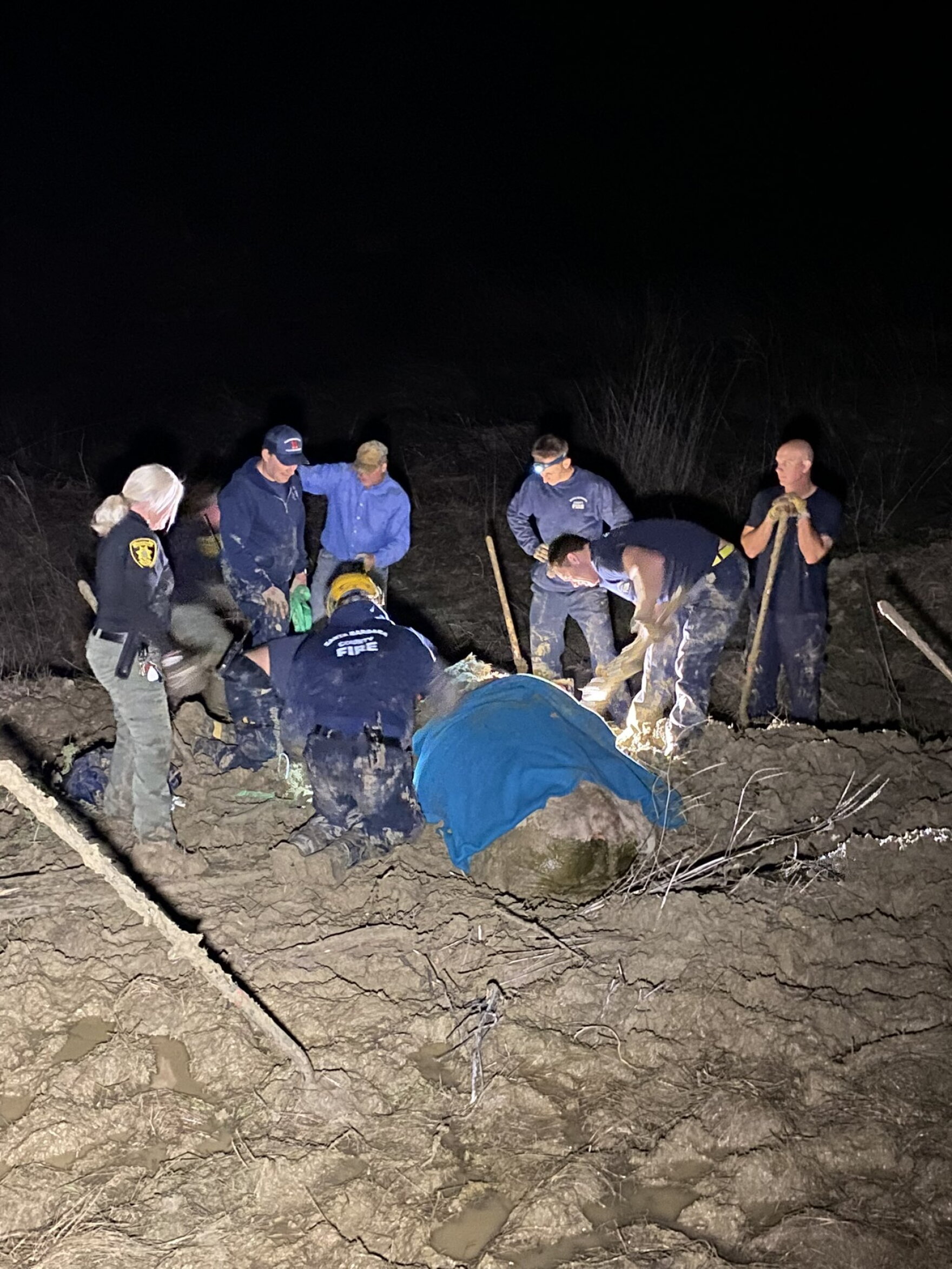 Moo! Santa Barbara County firefighters rescue cow stuck up to its neck ...
