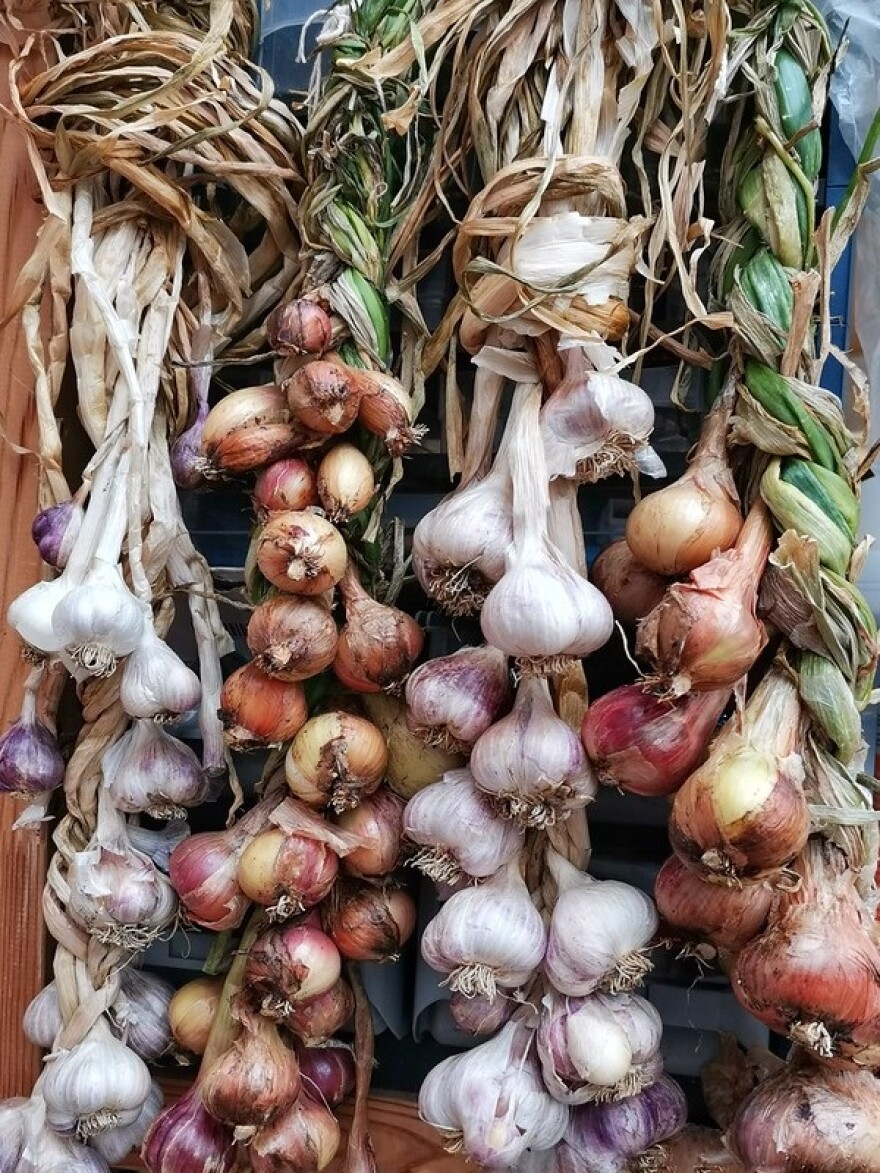 Homegrown garlic and shallots