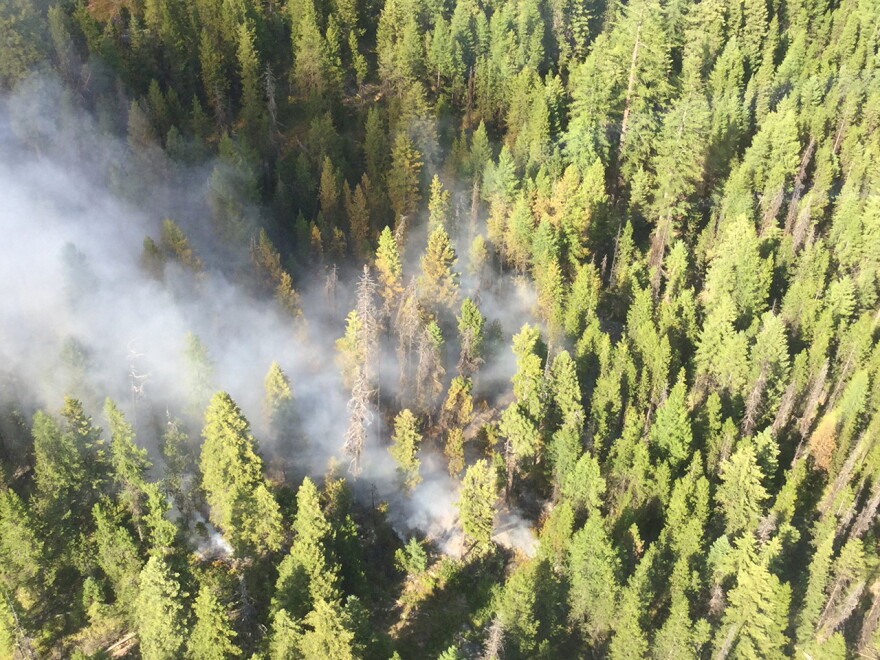 The Lee Creek fire burning near Lolo Hot Springs was spotted July 29, 2018 from a Forest Service detection flight.