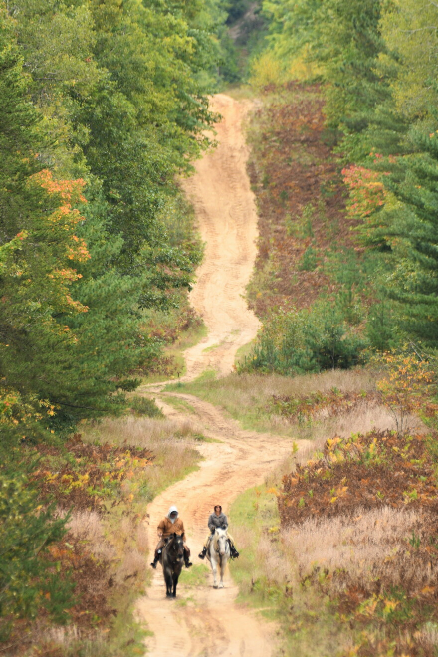 Horseback riding on a trail in the Pigeon River Country State Forest.