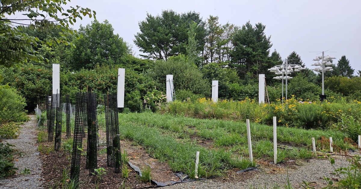More Delaware species join ‘greatest conservation need’ list as habitat shrinks