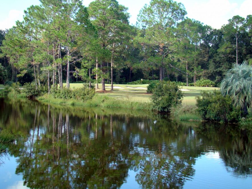 Gainesville city officials say there is interest in the sale of Ironwood Golf Course. Photo Laura Peavler/WUFT News