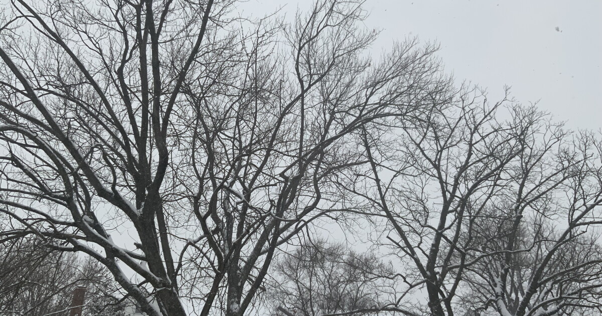 Baltimore under Code Blue Extreme Cold Alert through Thursday