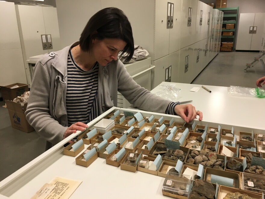 Within the larger shipped boxes are lots of smaller boxes containing fossils, some microscopic. Dr. Brenda Hunda says what will take a long time is doing research on each specimen. She is an expert on trilobites, but on other invertebrates may need some assistance.  