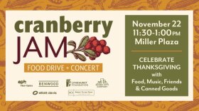 Cranberry Jam poster