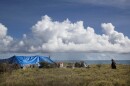 In this Tuesday, Aug. 25, 2015 photo, a man walks toward his makeshift tent at a homeless encampment near the ocean in Waianae, Hawaii. There are nearly 300 homeless people living in the encampment. Homelessness in Hawaii has grown in recent years, leaving the state with 487 homeless per 100,000 people, the nation's highest rate per capita, ahead of New York and Nevada, according to federal statistics. (AP Photo/Jae C. Hong)