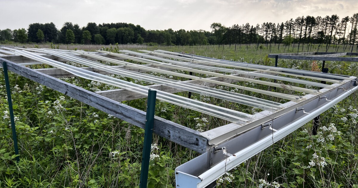 Midwestern scientists join global effort to study extreme drought in grasslands