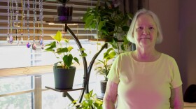 Cassandra Rhodes arrived home to find a water shut-off notice on her door. This wasn't the first time.