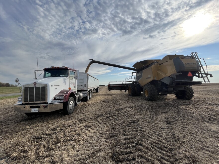 Farmer Dan Magarity loads beans into a semi, they'll be taken to an elevator on near Cooper Road, outside of Washington.