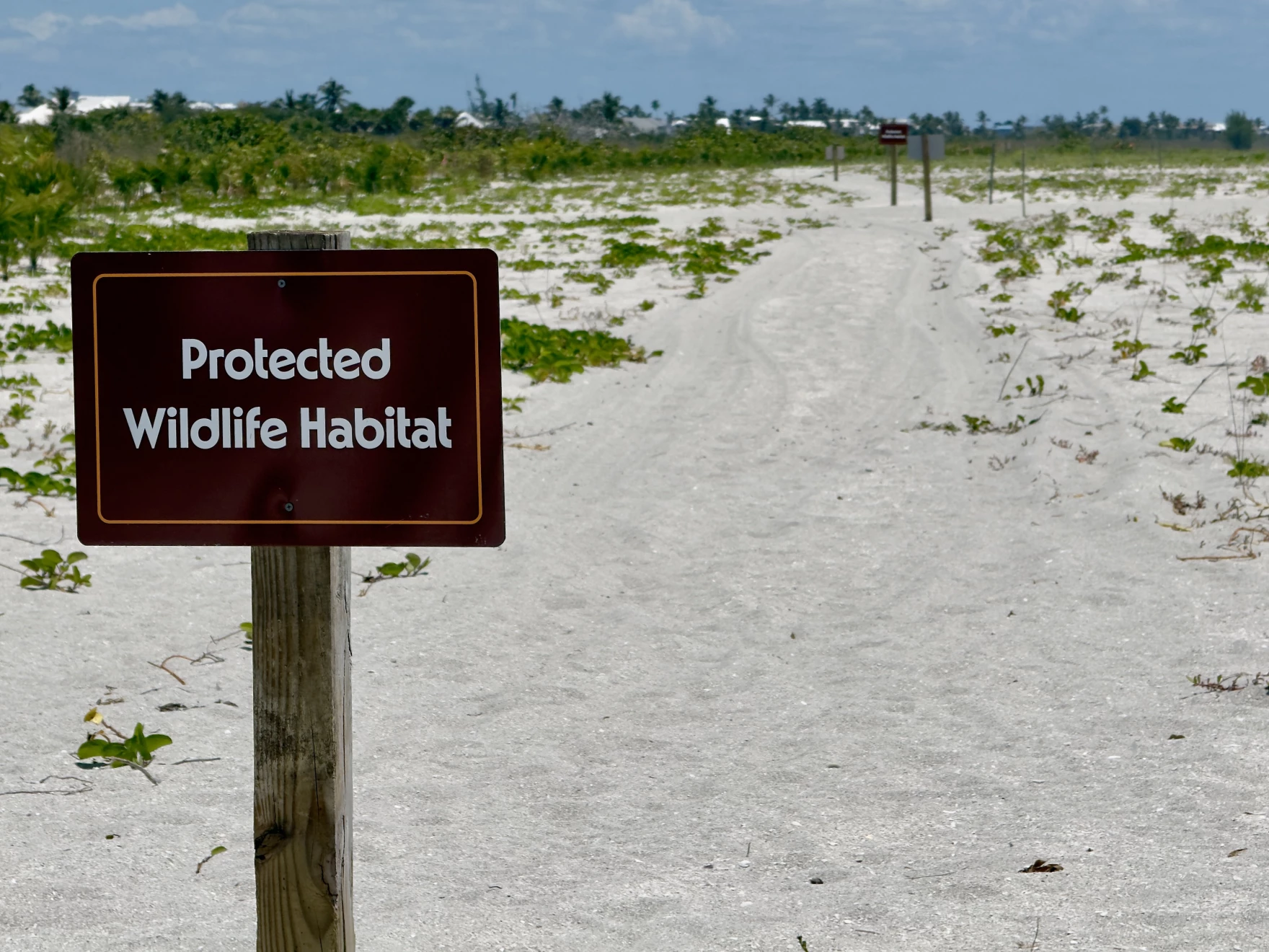 Image source - https://www.wgcu.org/environment/2026-06-08/why-southwest-floridas-natural-mangrove-protective-armor-may-vanish-without-a-little-help