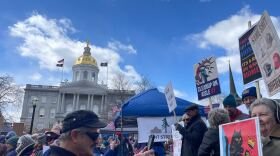 Voters gathered at No Kings rallies across New Hampshire last weekend to express opposition to President Trump, but many had tough words for other elected officials