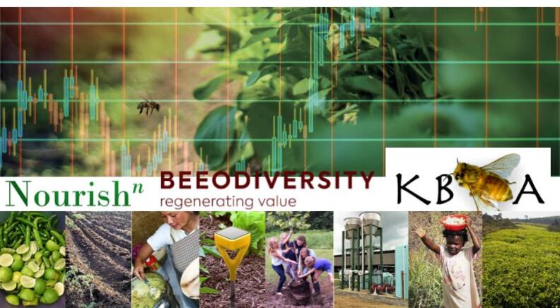 bee biodiversity