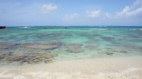 Flickr / janhatesmarcia