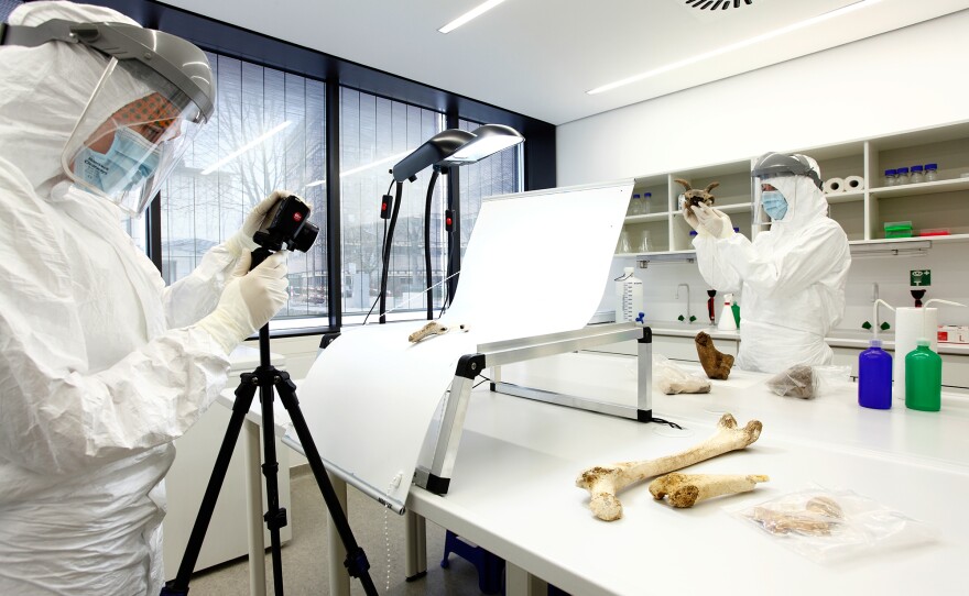 Scientists in a lab in Mainz, Germany, analyze ancient bone samples from the Zagros Mountains in Iran.