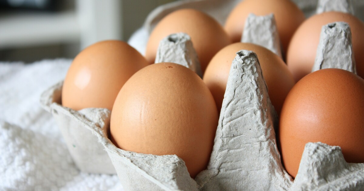 What to know about bird flu in Michigan What to know about bird flu in Michigan