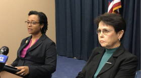 DCS Director Terry Stigdon, left, and independent consultant Sue Steib, right, discuss the first progress report of the agency evaluation.